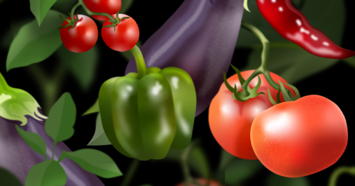Fruiting Vegetables ADAMA